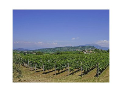 Apartment Dogoli Trilo Plus - Environment photo 11