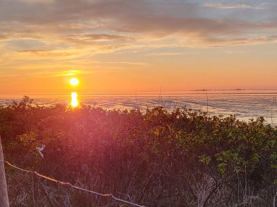 Holiday house Luxus in Cuxhaven/ Duhnen - Outdoor photo 17
