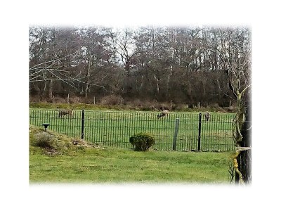 Holiday house Luxus in Cuxhaven/ Duhnen - Outdoor photo 71