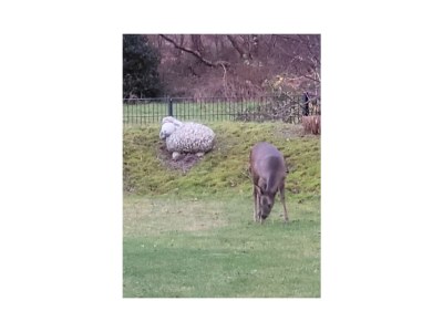 Holiday house Luxus in Cuxhaven/ Duhnen - Outdoor photo 72