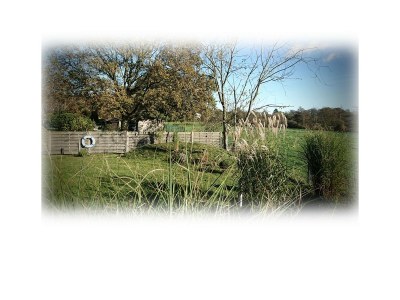 Holiday house Luxus in Cuxhaven/ Duhnen - Outdoor photo 73