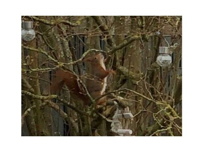 Holiday house Luxus in Cuxhaven/ Duhnen - Outdoor photo 74