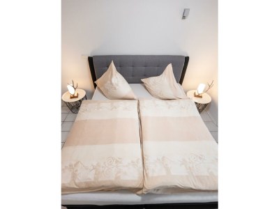 Apartment Ferienwohnung Villa Abrioux am Park - Features photo 38