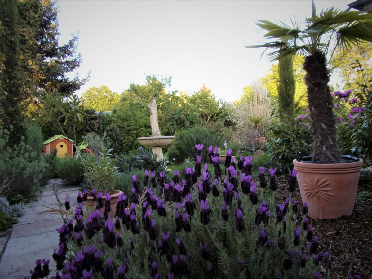 Apartment Gästehaus Fam. Volkmar - Outdoor photo 3