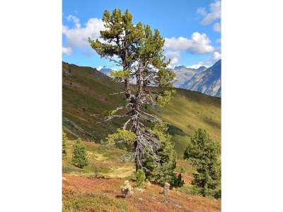 Holiday house WeiÃŸpriach - Environment photo 30