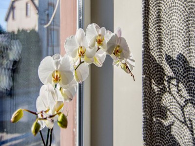 Holiday house Großzügiger Aufenthalt in Lemberg - Outdoor photo 38