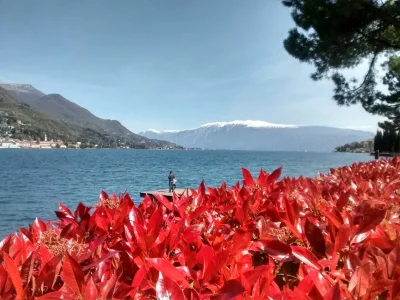 Apartment Apartment 4 persons - Environment photo 13