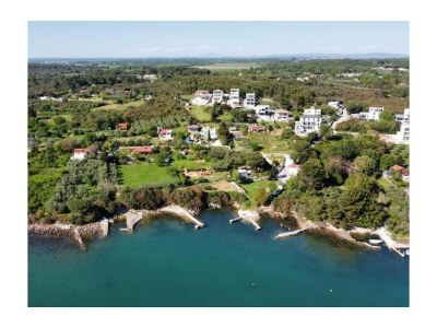 Villa Pura Vida - Environment photo 29