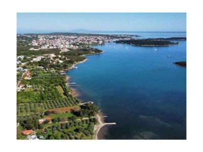 Villa Pura Vida - Environment photo 31