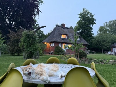 Holiday house No title - Outdoor photo 8