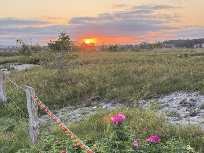 Holiday house No title - Environment photo 40