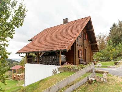 Holiday house Holzferienhaus in Hinterrod mit Sauna - Outdoor photo 8