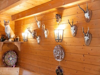 Holiday house Holzferienhaus in Hinterrod mit Sauna - Outdoor photo 35