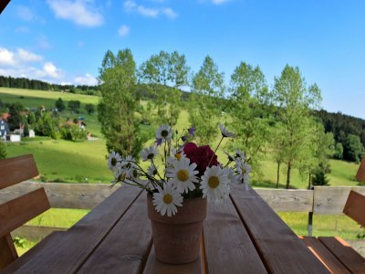 Holiday house Holzferienhaus in Hinterrod mit Sauna - Outdoor photo 37