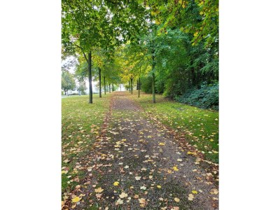 Apartment 5-Bett-Ferienhaus Dusche/WC, 3 Schlafräume - Outdoor photo 23