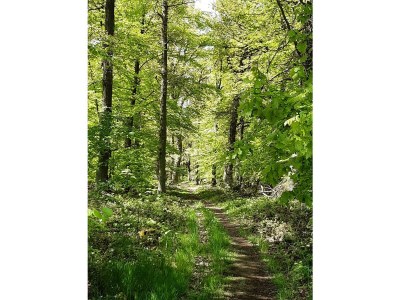 Apartment 5-Bett-Ferienhaus Dusche/WC, 3 Schlafräume - Outdoor photo 25