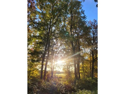 Apartment 5-Bett-Ferienhaus Dusche/WC, 3 Schlafräume - Outdoor photo 28