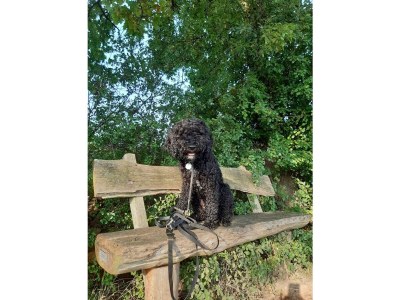 Apartment 5-Bett-Ferienhaus Dusche/WC, 3 Schlafräume - Outdoor photo 34