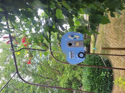 Apartment 5-Bett-Ferienhaus Dusche/WC, 3 Schlafräume - Outdoor photo 43