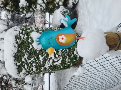 Apartment 5-Bett-Ferienhaus Dusche/WC, 3 Schlafräume - Outdoor photo 48