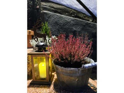 Apartment 5-Bett-Ferienhaus Dusche/WC, 3 Schlafräume - Outdoor photo 51