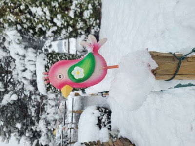 Apartment 5-Bett-Ferienhaus Dusche/WC, 3 Schlafräume - Outdoor photo 54