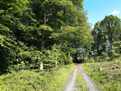 Apartment 5-Bett-Ferienhaus Dusche/WC, 3 Schlafräume - Outdoor photo 55