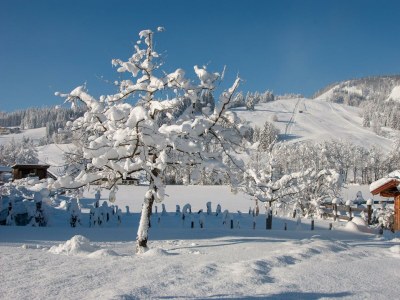 Apartment Ferienhaus - Outdoor photo 7