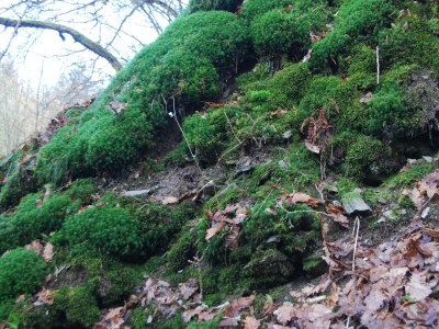 Apartment Bad Wildstein, Quelldusche, Therme inkl. - Outdoor photo 14