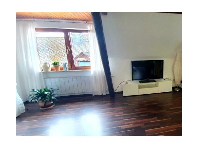 Apartment Ferienwohnung Steffie - Features photo 11