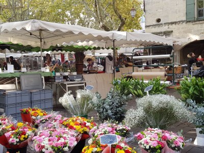 Holiday house Pina - Environment photo 24