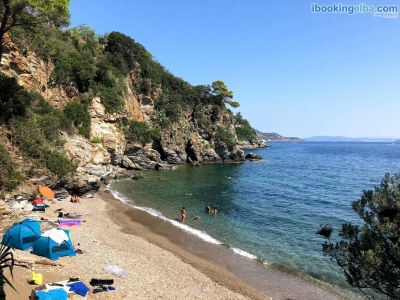 Apartment Le Maree Fede - Environment photo 35