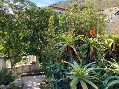 Villa Solana - Outdoor photo 12