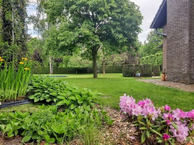 Holiday house Merksplas Villa mit Terrasse - Outdoor photo 9