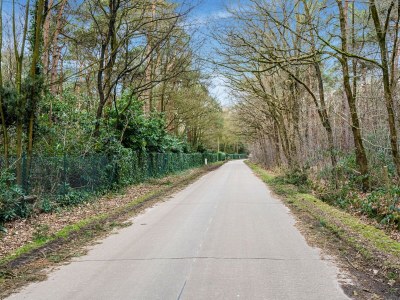 Holiday house Merksplas Villa mit Terrasse - Environment photo 39