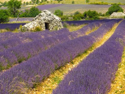 Apartment Romantic Château Stay Rhône - Environment photo 32