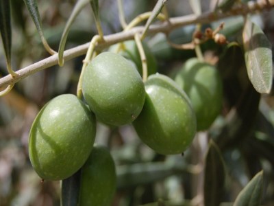 Apartment Romantic Château Stay Rhône - Outdoor photo 34