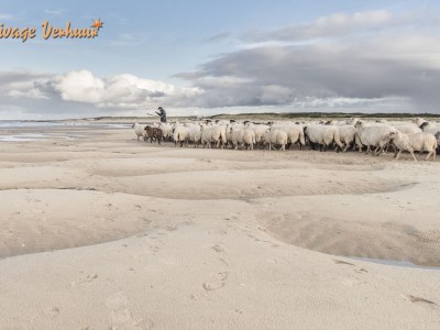 Holiday apartment Liguster 9 - Environment photo 20