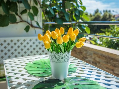 Apartment Tereza Porec - Outdoor photo 8