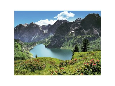 Apartment No title - Environment photo 38