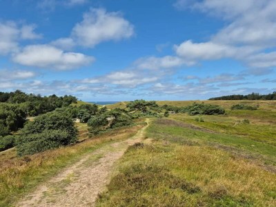 Holiday house 6 person holiday home in Vejby-By Traum - Outdoor photo 14