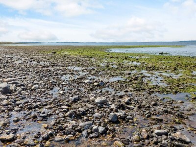 Holiday house 8 Personen Ferienhaus in Løgstør-By Traum - Outdoor photo 9