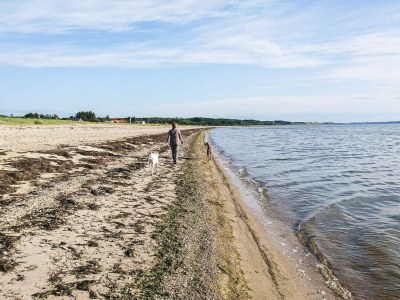 Holiday house 8 Personen Ferienhaus in Løgstør-By Traum - Outdoor photo 33