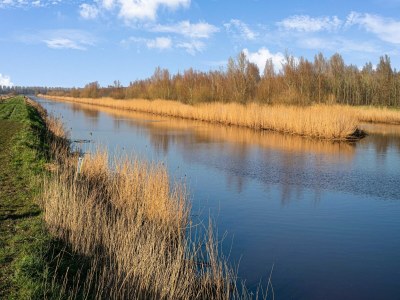 Holiday house Schönes Ferienhaus von 1871 mit modernem Komfort. - Environment photo 21