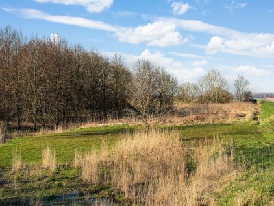 Holiday house Schönes Ferienhaus von 1871 mit modernem Komfort. - Environment photo 25