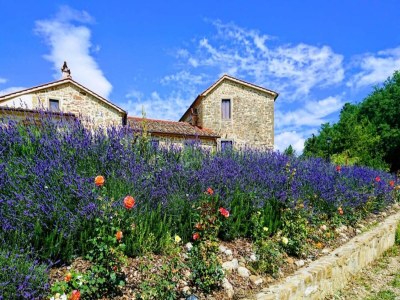 Holiday house Ferienhaus in Dicomano mit privatem Pool - Outdoor photo 3