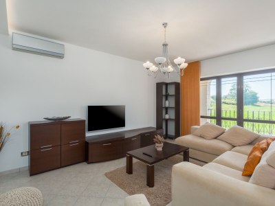 Holiday apartment Mihael with private pool - Features photo 18
