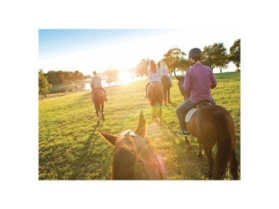 Holiday apartment Mihael with private pool - Environment photo 31