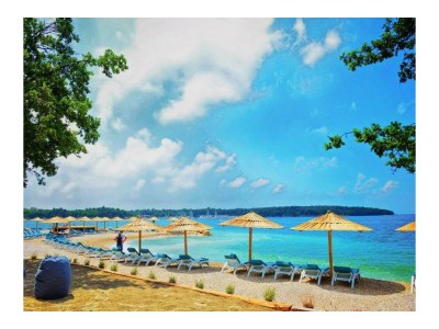 Holiday apartment Mihael with private pool - Environment photo 32