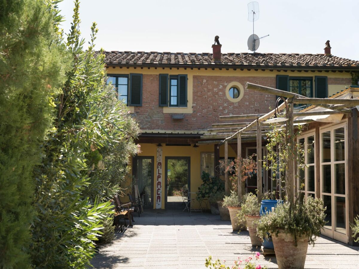 Holiday house Farmhouse in Tuscany with Pool near Montecastello - Outdoor photo 5